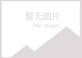 集宁晓夏咨询有限公司